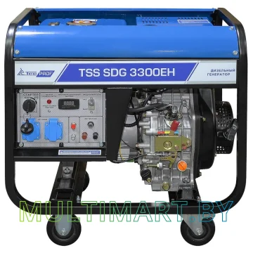Дизельный генератор ТСС SDG 3300EH (100044) картинка 3